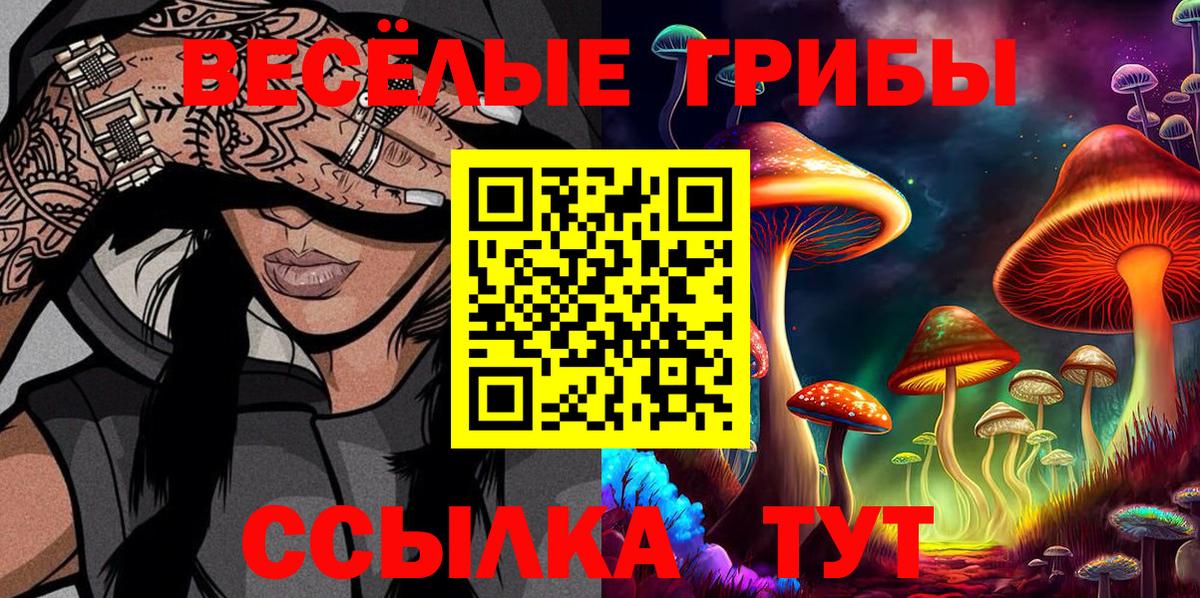 Галлюциногенные грибы мицелий  Галлюциногенные грибы Cubensis  Дзержинск  Вход с VPN 