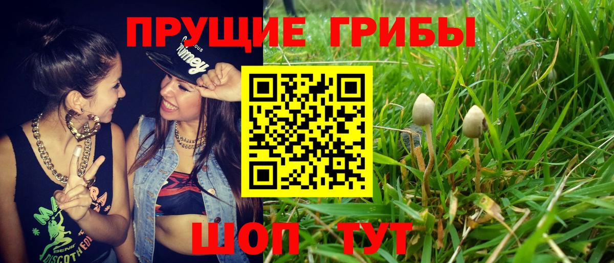 Псилоцибиновые грибы мухоморы Дзержинск